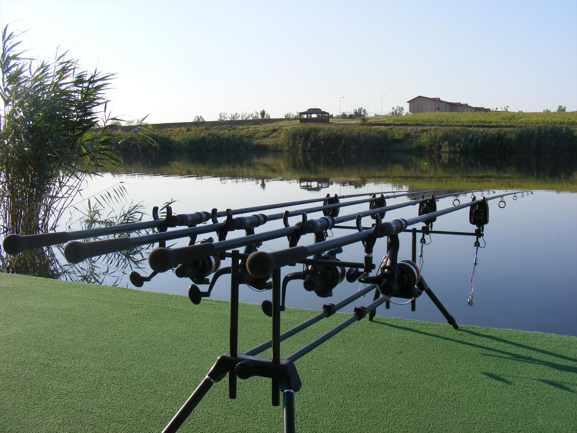 Balotesti 2012 - dscf8231.JPG